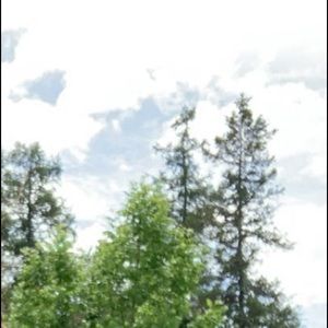 Meet your Posher, Hope